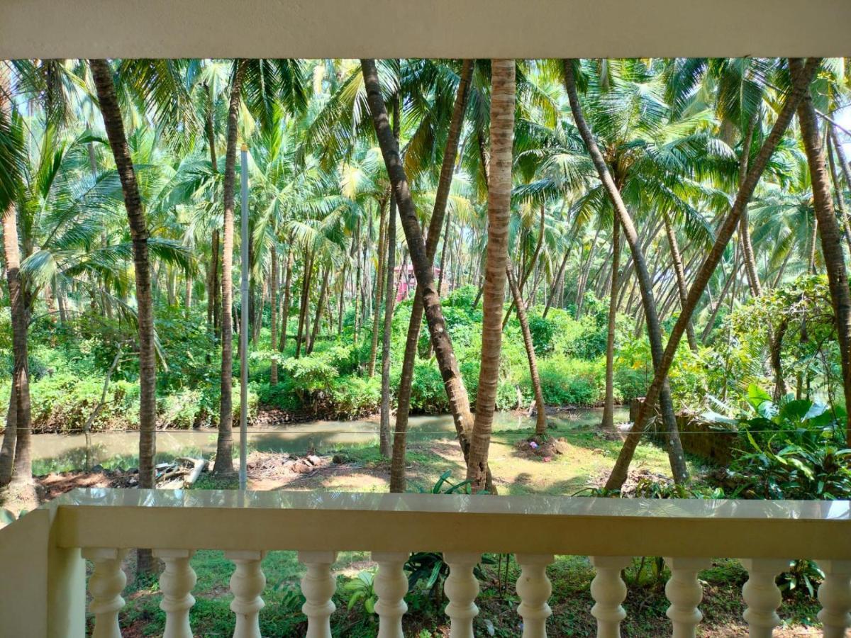 Santana Guest House Agonda Extérieur photo